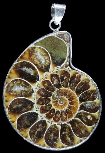 Fossil Ammonite Pendant - Million Years Old #89863